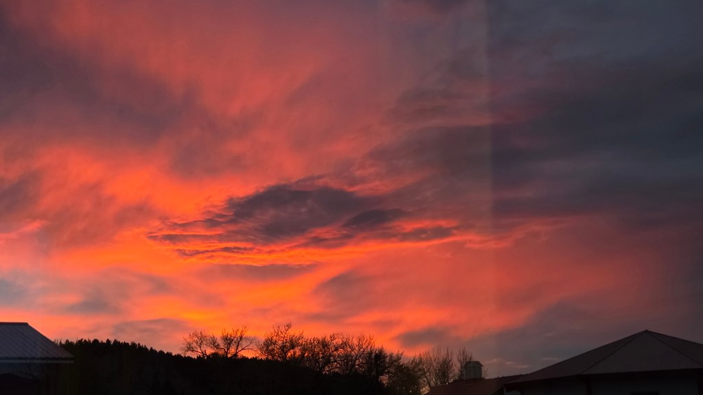 Escaping Reality — Boulder