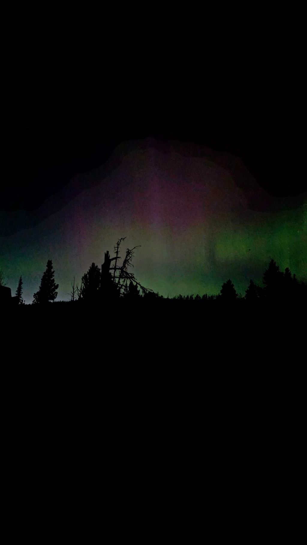 Escape Reality — Spur Park 4th of July Weekend